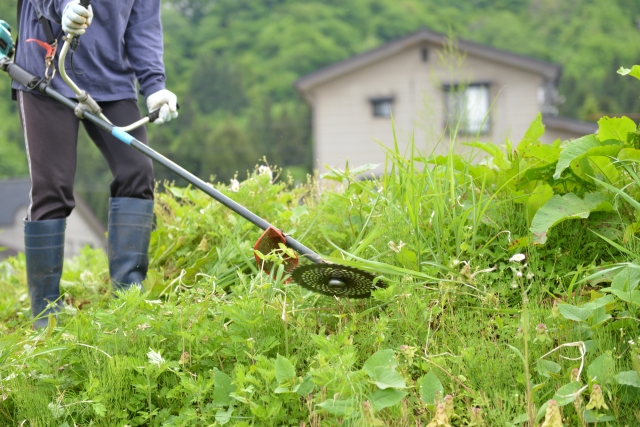 毎年の維持費や草刈りの負担から解放される